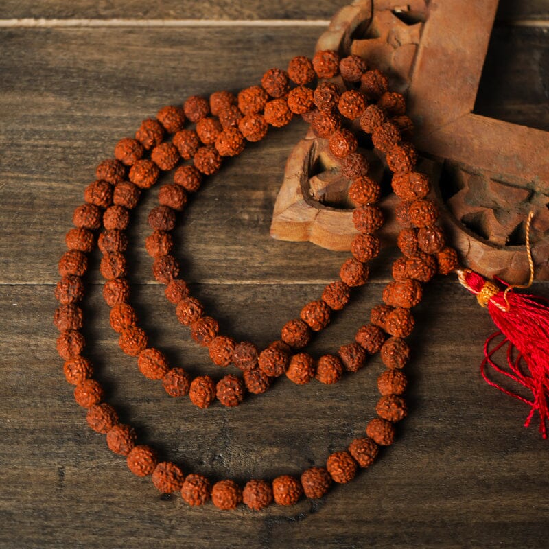 Rudraksha - Agamadhara